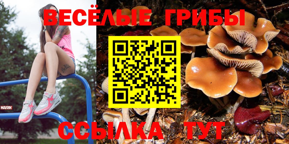 Псилоцибиновые грибы Magic Shrooms  Вход с VPN  Ливны 